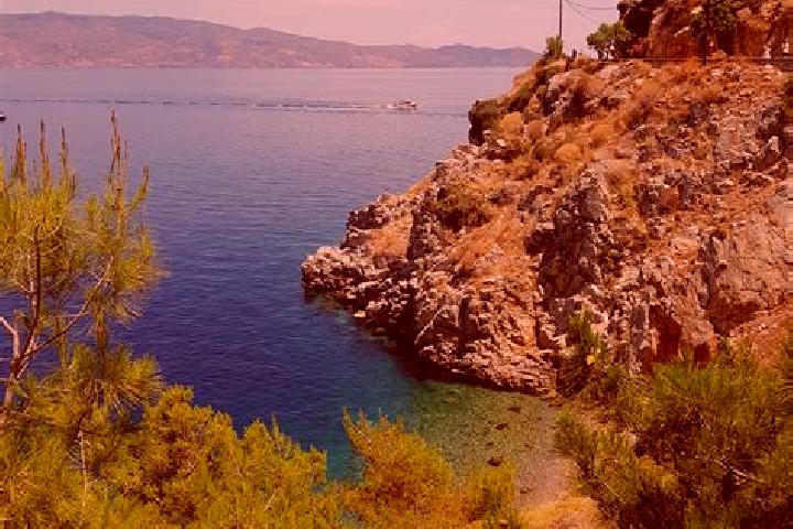 Viagra taking half of a viagra tablet
