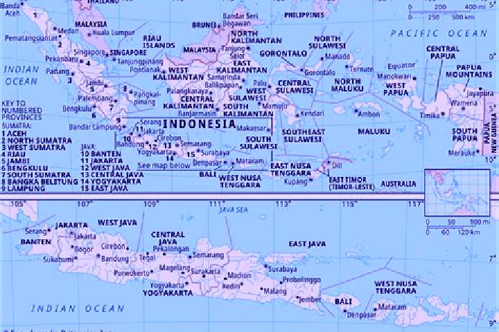 Xenical xenical 120 mg achat pills